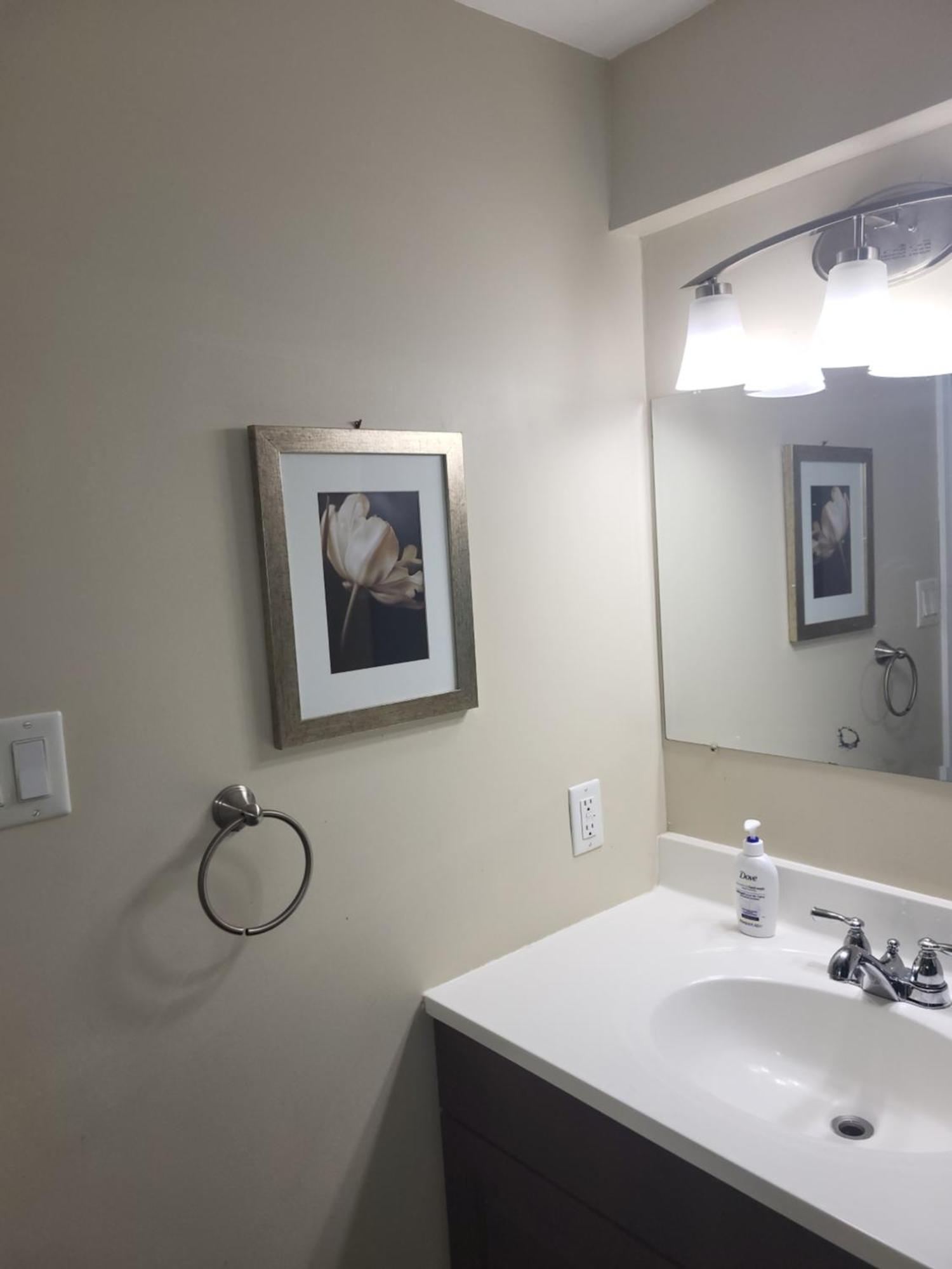 Lovely Guest Entire Apartment Minutes From Ottawa Airport Экстерьер фото